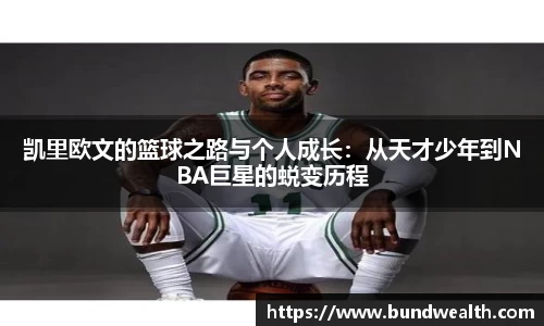 OB视讯官网